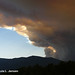 Paula Hicks Photo 47