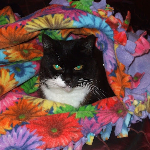 Roslyn Robinson Photo 33