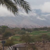 Anita Fleming Photo 20