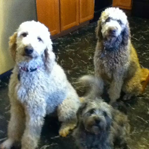 Cindy Randall Photo 34