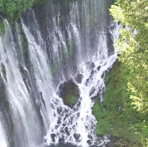 Gayle Miller Photo 15