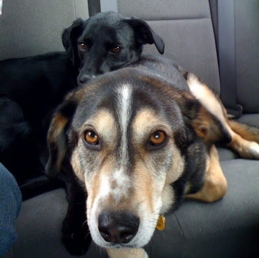 Sara Purcell Photo 14