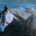 Heidi Erickson Photo 10