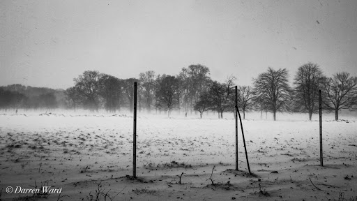 Darren Ward Photo 45