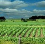 Shirley Saunders Photo 1