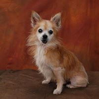 Laurel Lewis Photo 14