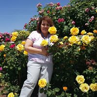 Kathy Tolliver Photo 13