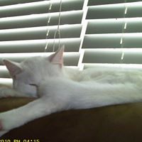 Elizabeth Greene Photo 14