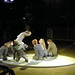 Dora Cunningham Photo 9