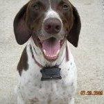 Stacy Keith Photo 15