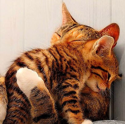 Catherine Paris Photo 24 Catherine Paris Photo 24