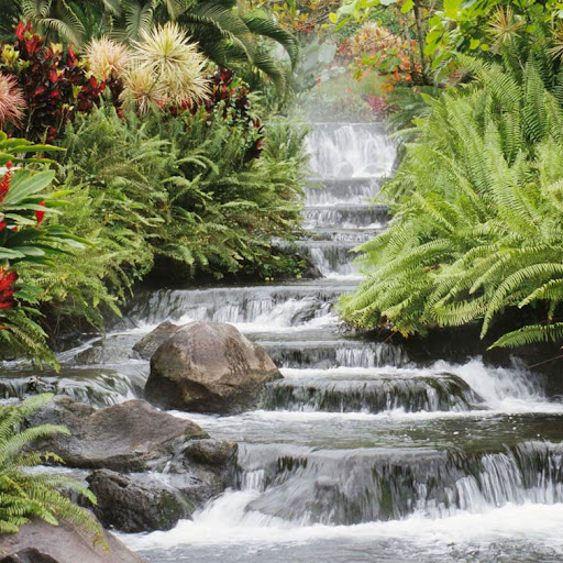 Kathryn Tandy Photo 2