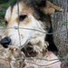 Paula Manges Photo 5