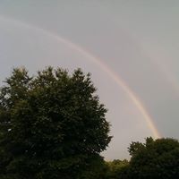 Steven Minor Photo 12