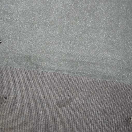 Scott Estep Photo 10