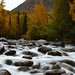 Michael Atkins Photo 48