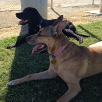 Laura Knudson Photo 18