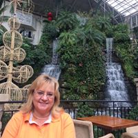 Susan Shultz Photo 21