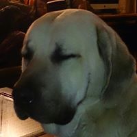 Gary Summers Photo 19