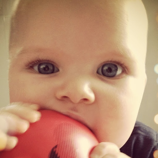 Susan Mcmaster Photo 21 Susan Mcmaster Photo 21