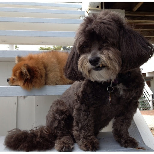 Jenna Patterson Photo 9