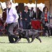 Karen Helmer Photo 7