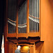 David Schrader Photo 40