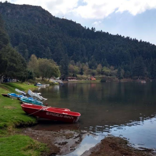 Claudia Thompson Photo 40