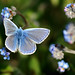 Paul Ritchie Photo 28