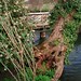 April Trout Photo 5