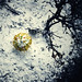 Amy Huynh Photo 9