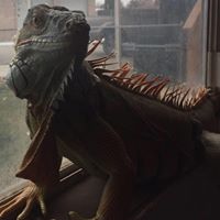 Danielle Newhouse Photo 20