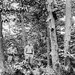 Allen Arthur Photo 29