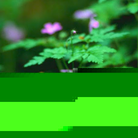 Ana Villatoro Photo 19