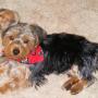 Cynthia Holbrook Photo 20