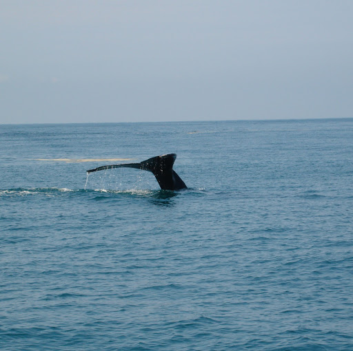 Meredith Blake Photo 33