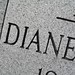 Diane Graves Photo 20