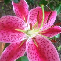 Beth Crowder Photo 32