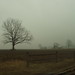 Charles Matson Photo 18