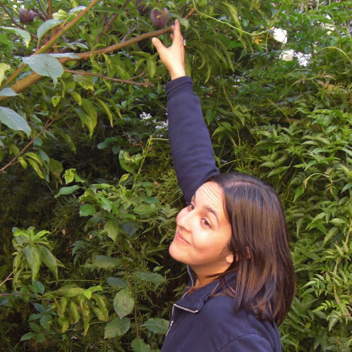 Tracy Herrmann Photo 4