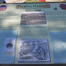 Merrill Lewis Photo 7
