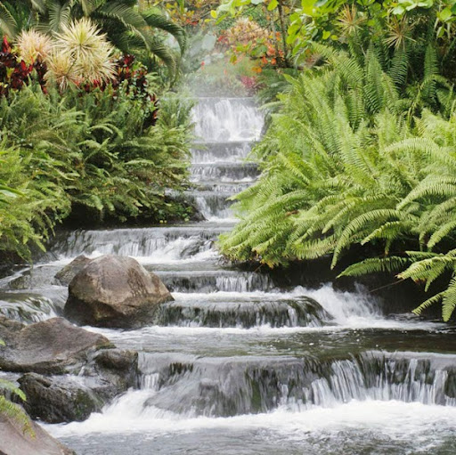 Terry Jenkins Photo 14 Terry Jenkins Photo 14