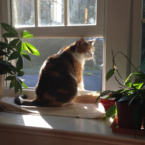 Mary Steensma Photo 6