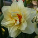 Mary Copeland Photo 31