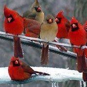 Teresa Kerr Photo 11