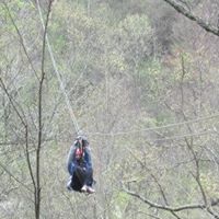 Cindy Horton Photo 22