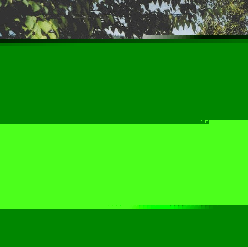 Suzanne Murray Photo 9