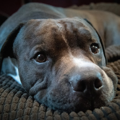 Steven Case Photo 15