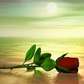 Alicia Almeida Photo 24