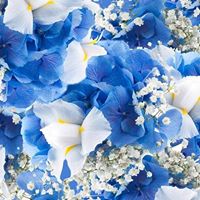 Diana Chandler Photo 21